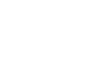 Wyvern Logo